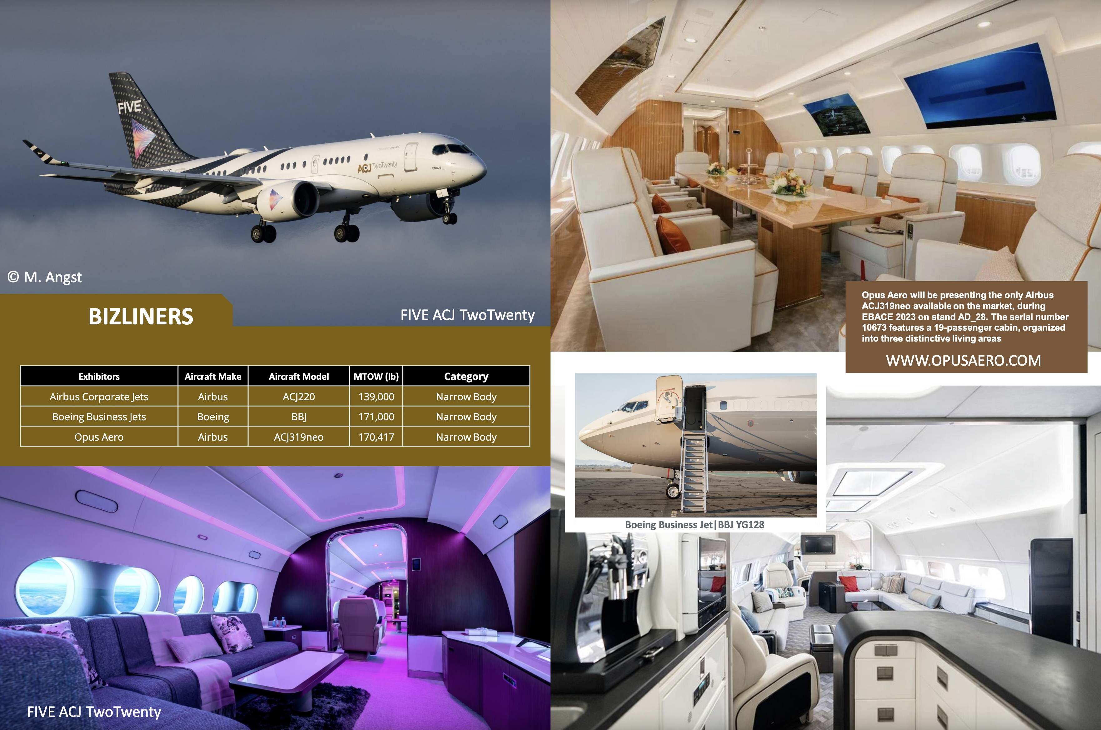ACJ319NEO for sale