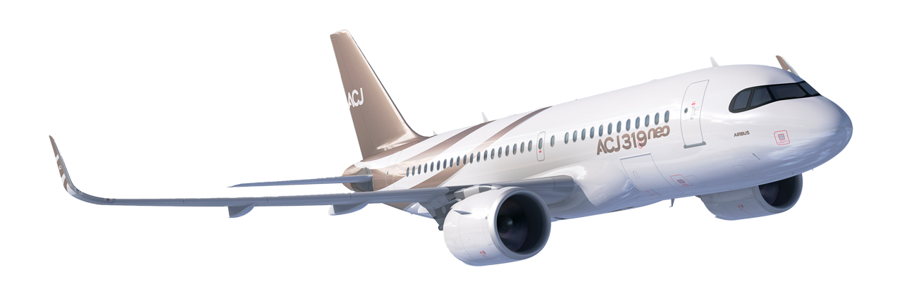 ACJ319neo